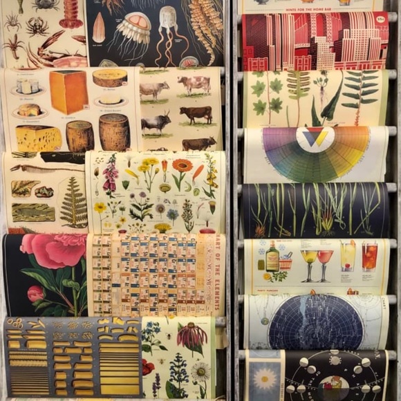 Cavallini & Co. Vintage Medical Eye Exam Optometrist Chart - New With Tags - Picture 8 of 10